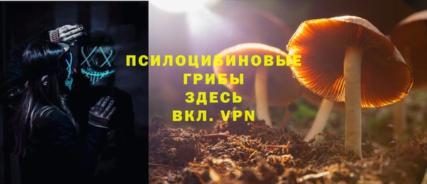 прущие грибы Арсеньев