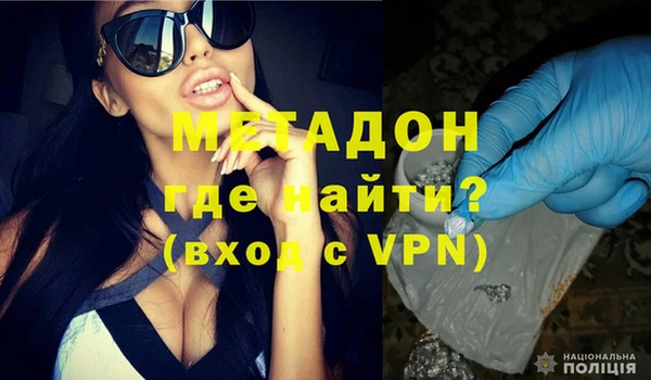 прущие грибы Арсеньев