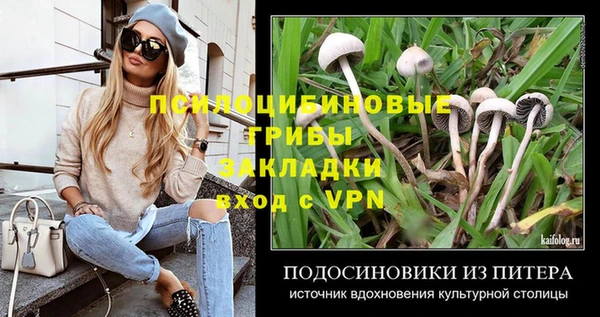 метадон Армянск