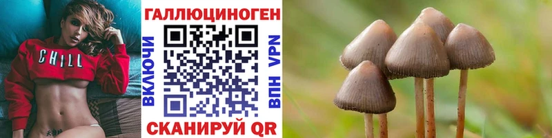 купить наркотик  Североуральск  Псилоцибиновые грибы Psilocybe 